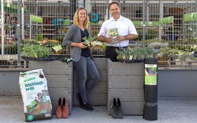 Herbst-Hochbeet anlegen: So gelingt die späte Ernte